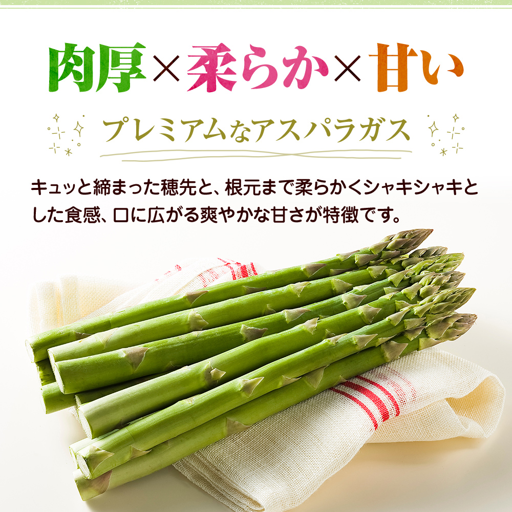 アスパラガス【さぬきのめざめ】約1kg　LM混合