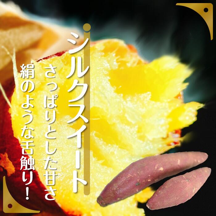 さつまいも　特選シルクスイート 約5kg｜さつまいも 芋 お芋 シルクスイート タネのハシモト 茨城県 行方市(BS-1)