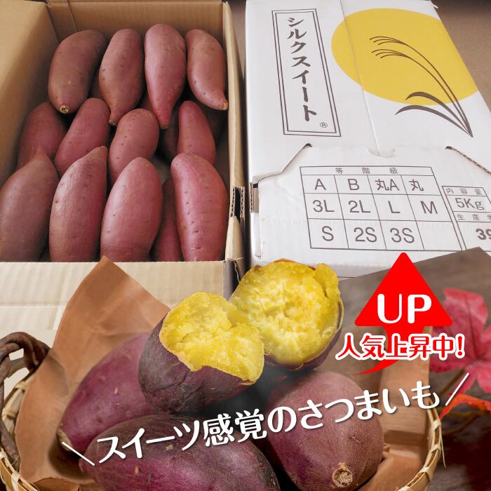 さつまいも　特選シルクスイート 約5kg｜さつまいも 芋 お芋 シルクスイート タネのハシモト 茨城県 行方市(BS-1)