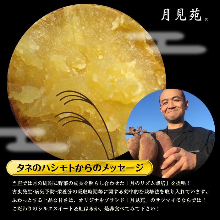さつまいも　特選シルクスイート 約5kg｜さつまいも 芋 お芋 シルクスイート タネのハシモト 茨城県 行方市(BS-1)