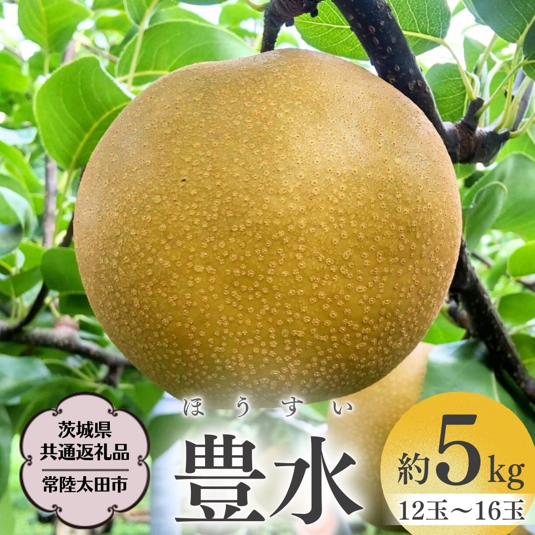 ⚠️みずいろ⚠️茨城県産　梨/凛夏　秀品/14玉+フリーサイズ　5キロ×2 ⚠️みずいろ様専用⚠️茨城県産 梨/凛夏 秀品/14玉+
