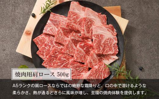 【定期便12ヶ月】【A5ランク限定】淡路島産黒毛和牛 贅沢定期便【神戸ビーフ】　　[すき焼き ステーキ 焼肉 瞬間冷凍 牛肉 高級] 