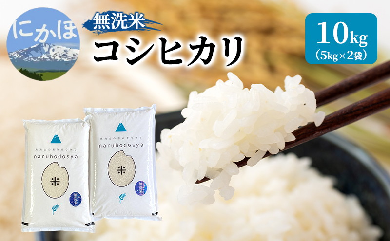 米 無洗米 令和7年産 コシヒカリ 5kg×2 秋田県 にかほ市 お米 こめ