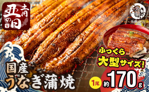 [土用の丑の日][10月23日までにお届け]ふっくら柔らか 国産うなぎ蒲焼き 1尾