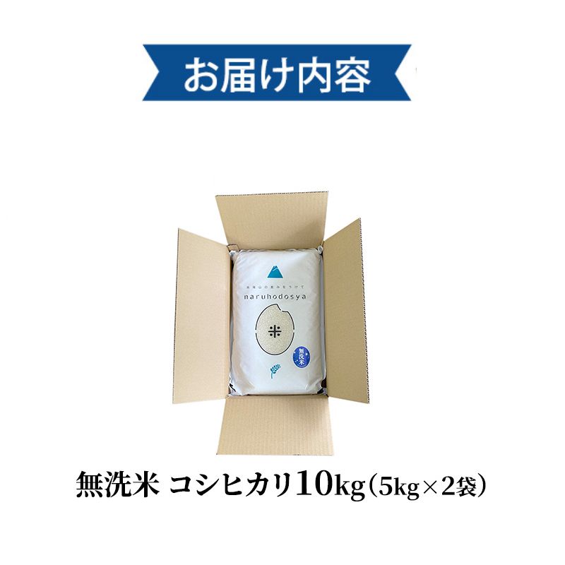 米 無洗米 令和7年産 コシヒカリ 5kg×2 秋田県 にかほ市 お米 こめ