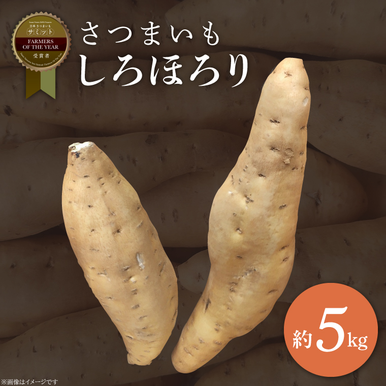 【茨城県行方市】【2025年11月より順次発送】2025年度産 さつまいも しろほろり 約5kg|さつまいも 芋 お芋 しろほろり 渋谷農園 先行予約 茨城県 行方市(BZ-41)