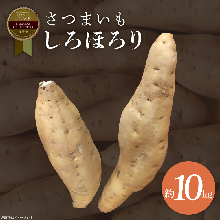 【茨城県行方市】【2025年11月より順次発送】2025年度産 さつまいも しろほろり 約10kg|さつまいも 芋 お芋 しろほろり 渋谷農園 先行予約 茨城県 行方市(BZ-42)