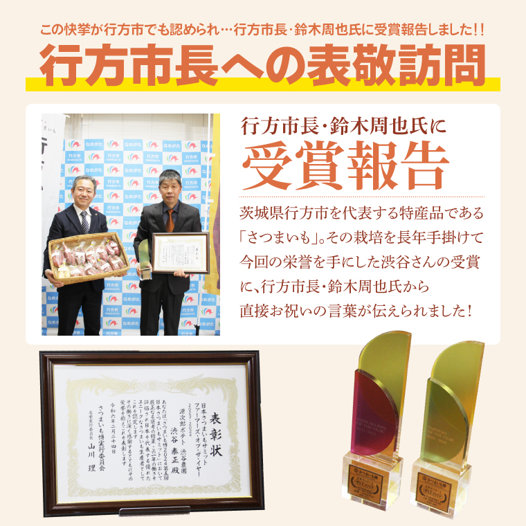 【2025年11月より順次発送】2025年度産 さつまいも しろほろり 約10kg｜さつまいも 芋 お芋 しろほろり 渋谷農園 先行予約 茨城県 行方市(BZ-42)
