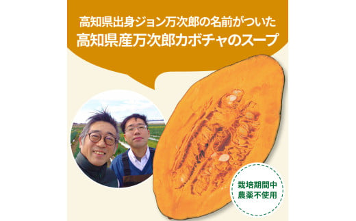 CDM043 ハンバーグとかぼちゃポタージュのセット（各3食）南瓜 かぼちゃ カボチャ スープ ポタージュ 土佐あかうし 四万十ポーク お店の味 ごはん 惣菜 3食分 レトルト 美味しい おいしい 国産 高知県産