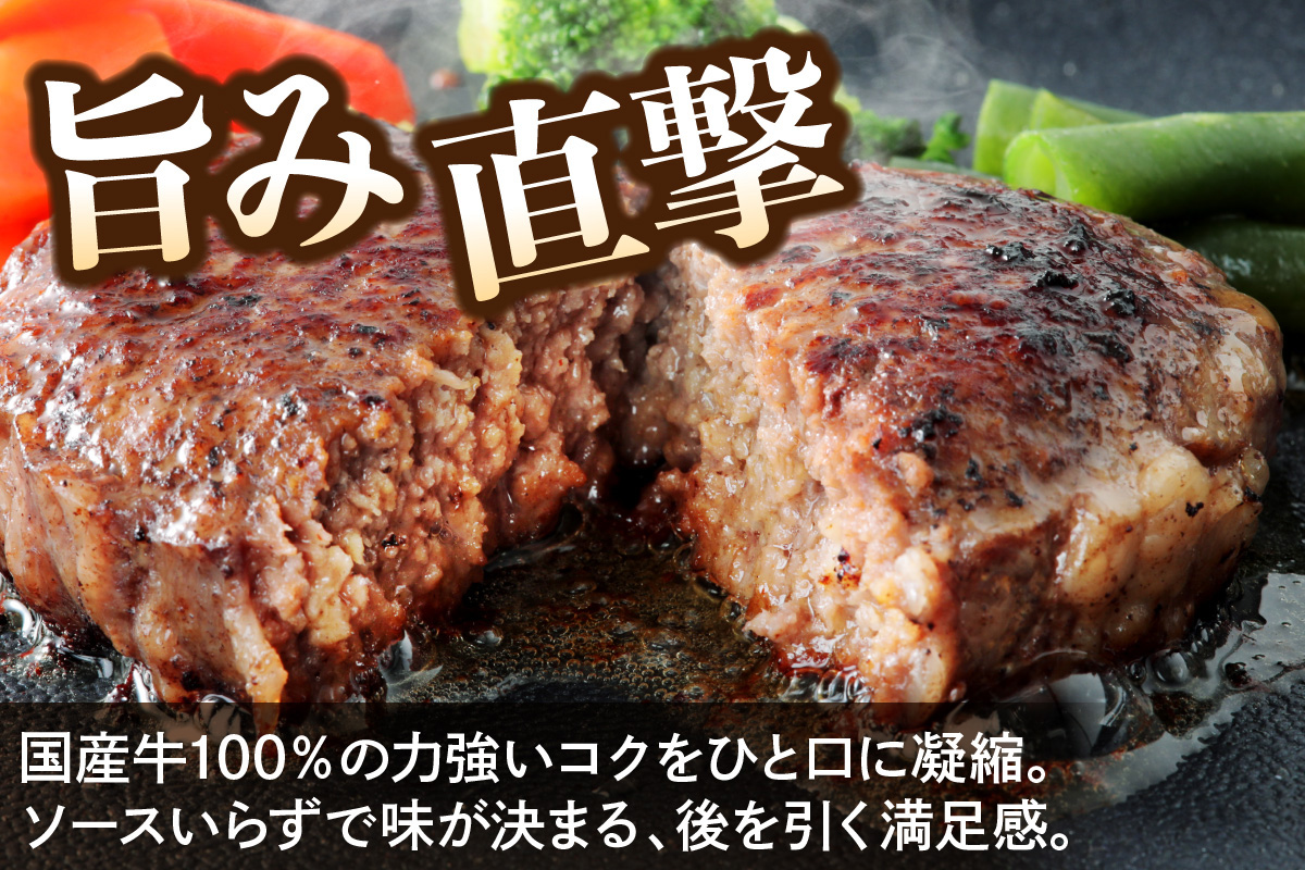 神奈川県伊勢原市のふるさと納税 柏木牧場特製 国産牛100%ハンバーグ (150g×20個)｜国産 ハンバーグ 冷凍 グルメ ギフト お惣菜 惣菜 [0760]