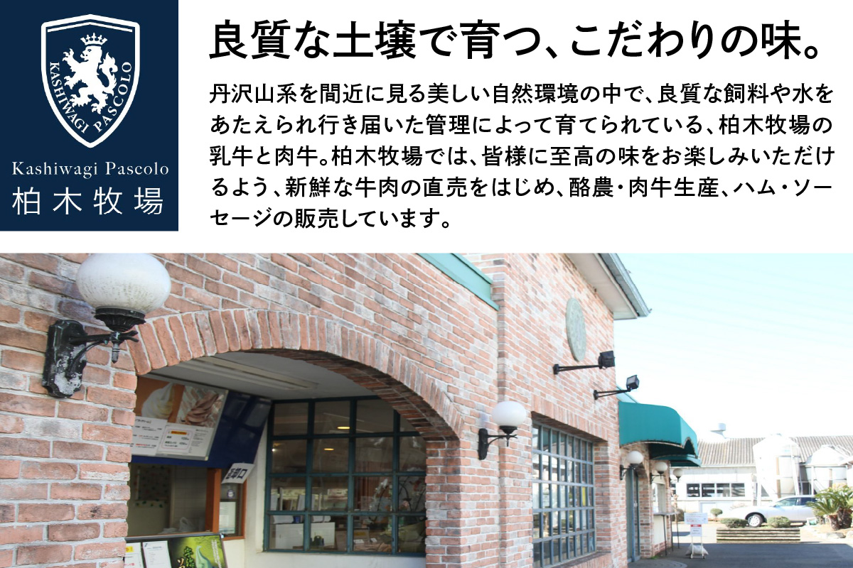 神奈川県伊勢原市のふるさと納税 柏木牧場特製 国産牛100%ハンバーグ (150g×20個)｜国産 ハンバーグ 冷凍 グルメ ギフト お惣菜 惣菜 [0760]