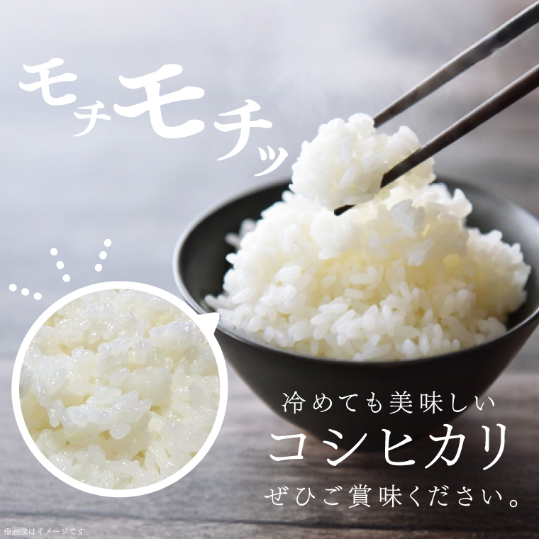 【 令和7年産】つやつや光るコシヒカリ 5kg 菊池農園｜茨城県 大子町 お米 白米 精米 産地直送（CL001-1）