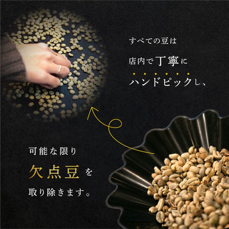 3ヵ月定期便【CRUISE TOWN COFFEE ROASTERS】 深煎りドリップバッグセット（12g×16） 飲み物 飲料 ドリンク コーヒーブレイク ドリップコーヒー 手軽 
