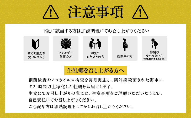 宮崎県日南市のふるさと納税 数量限定 宮崎県産 ブランド 牡蠣 ひとしおオイスター 計20個 魚介 魚貝 かき 生食用 殻付き 国産 おかず おつまみ 食品 海鮮 海産物 シーフード BBQ バーベキュー アウトドア グランピング 海の幸 養殖 絶品 贅沢 ご褒美 お取り寄せ グルメ 日南市 送料無料_CB81-23
