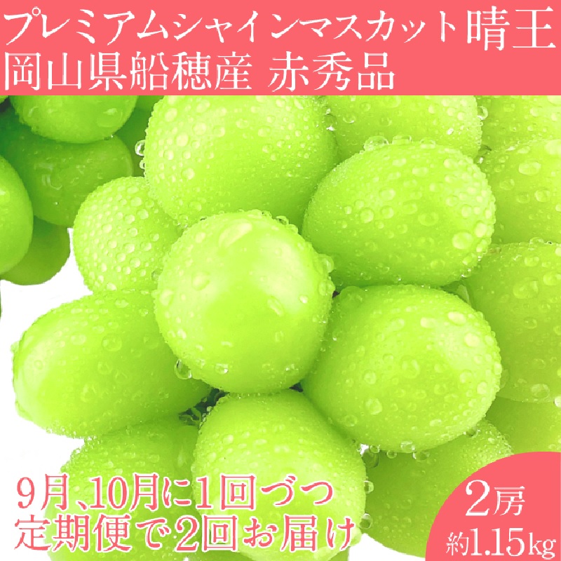 2025年予約受付中【 2回定期便】 プレミアム シャインマスカット 晴王 2房約1.15kg/ 岡山県 船穂産 赤秀品 種無し 皮ごと食べる みずみずしい 9月10月に1回づつ届け フレッシュ 晴れの国 おかやま 果物大国 彩美菜果