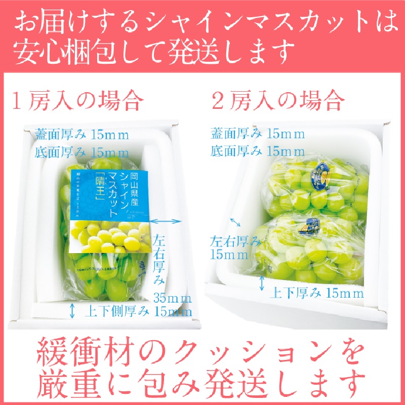 2025年予約受付中【 2回定期便】 プレミアム シャインマスカット 晴王 2房約1.15kg/ 岡山県 船穂産 赤秀品 種無し 皮ごと食べる みずみずしい 9月10月に1回づつ届け フレッシュ 晴れの国 おかやま 果物大国 彩美菜果