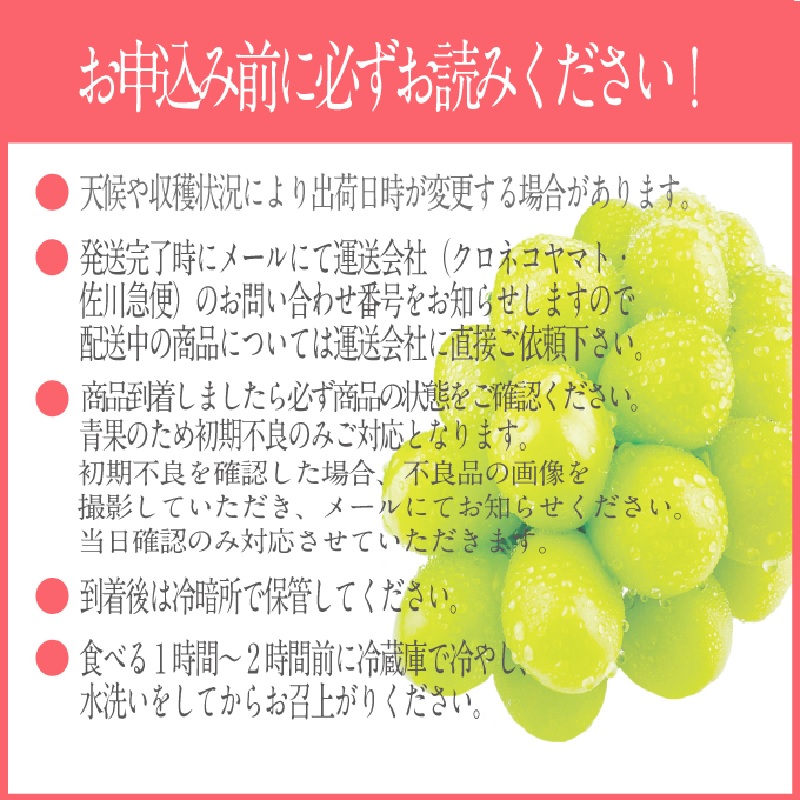 2025年予約受付中【 2回定期便】 プレミアム シャインマスカット 晴王 2房約1.15kg/ 岡山県 船穂産 赤秀品 種無し 皮ごと食べる みずみずしい 9月10月に1回づつ届け フレッシュ 晴れの国 おかやま 果物大国 彩美菜果