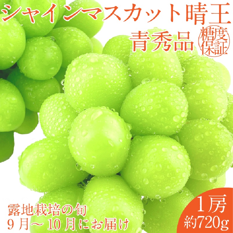家庭用 高級 シャインマスカット 約4.8kg 7-8房 ぶどう 家庭用 高級 シャインマスカット 約4.8kg 7-8房 ぶどう