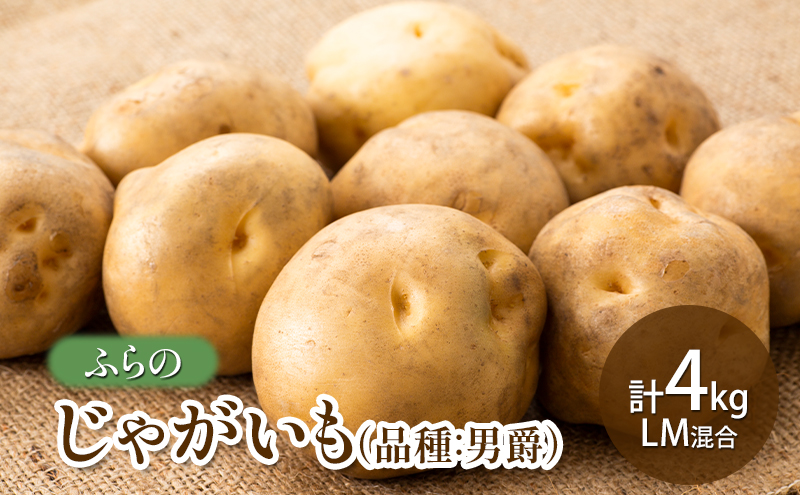 ykCxǖszy2025NHzӂ ႪiiFj݁j v4kg LM kC xǖs  VN  Ⴊ j Y ӂ  ʌ 撅