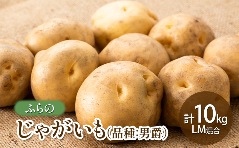 【北海道富良野市】【2025年秋発送】ふらの じゃがいも(品種:男爵) 計10kg LM混合 北海道 富良野市 野菜 新鮮 直送 じゃがいも 男爵 道産 ふらの 送料無料 数量限定 先着順