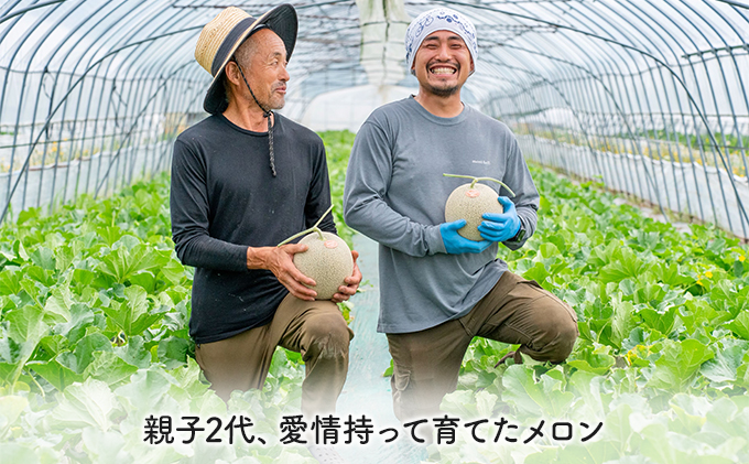 【2026年夏発送】北海道 富良野産 青肉メロン 2玉 1.4kg～1.8kgサイズ ふらの メロン ギフト 果物 青玉(榎本農園) メロン キングメルティ フルーツ 果物 新鮮 甘い 贈り物 ギフト 道産 ジューシー おやつ ふらの ブランド 夏