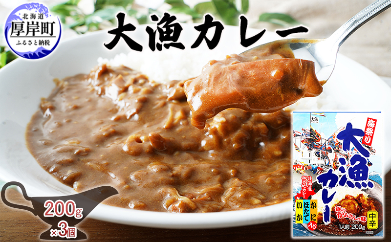 【北海道厚岸町】大漁カレー 200g×3個 カレー レトルト