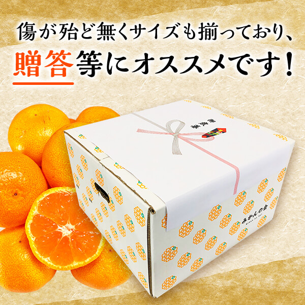 MK1001_みかん Ｓサイズ 秀品 箱込 2.5kg ( 内容量 2.3kg ) 有田みかん 濃厚 甘み 濃縮 温暖 好条件 和歌山県産 産地直送 贈答用 贈り物 ギフト のし対応 フルーツ デザート 和歌山県 湯浅 お取り寄せ お取り寄せフルーツ 送料無料 みかんの会