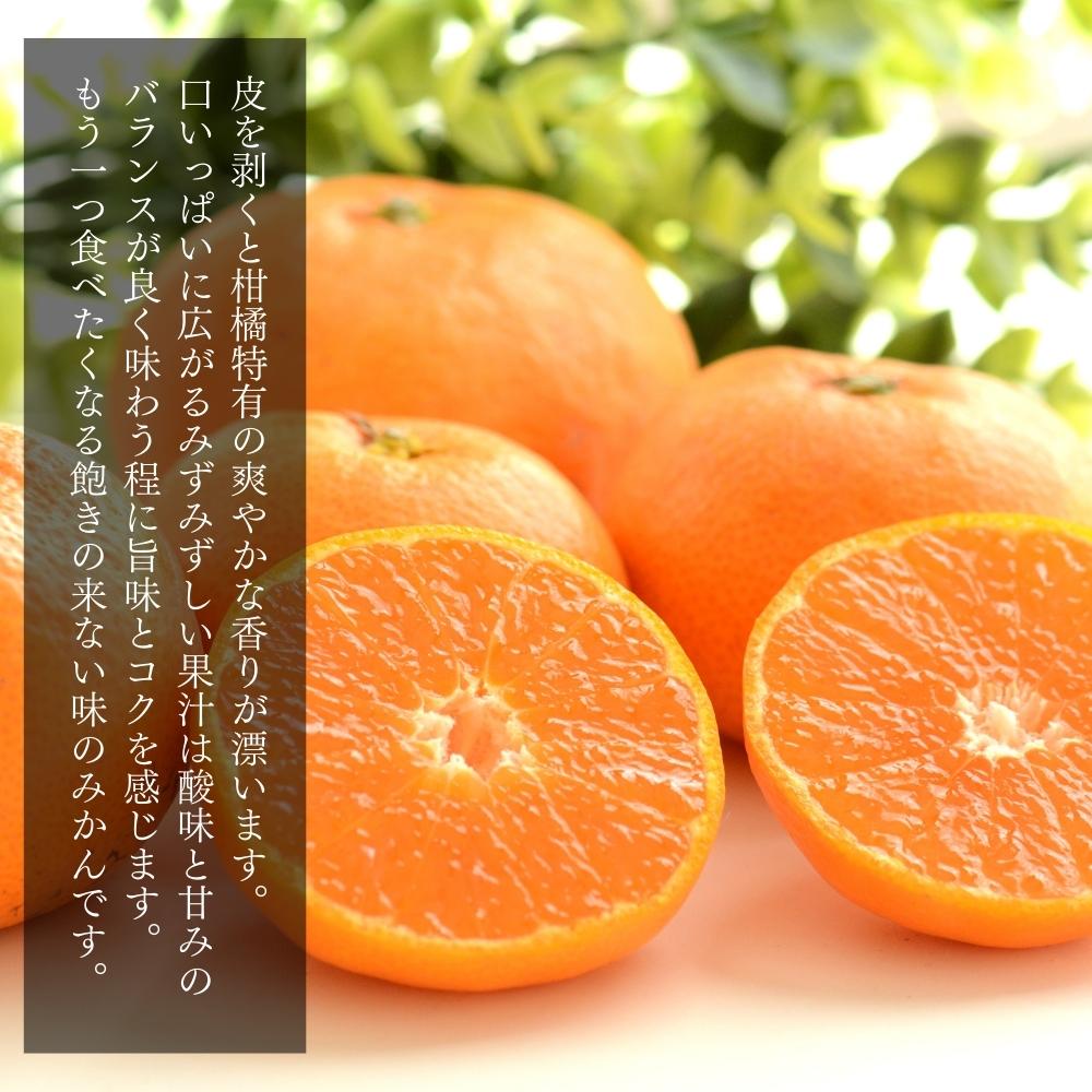 MK1004_みかん Ｍサイズ 秀品 箱込 10kg ( 内容量 9.2kg ) 有田みかん みかん 濃厚 甘み 濃縮 温暖 好条件 和歌山県産 産地直送 贈答用 贈り物 ギフト のし対応 フルーツ デザート 和歌山県 湯浅 お取り寄せ お取り寄せフルーツ 送料無料 みかんの会