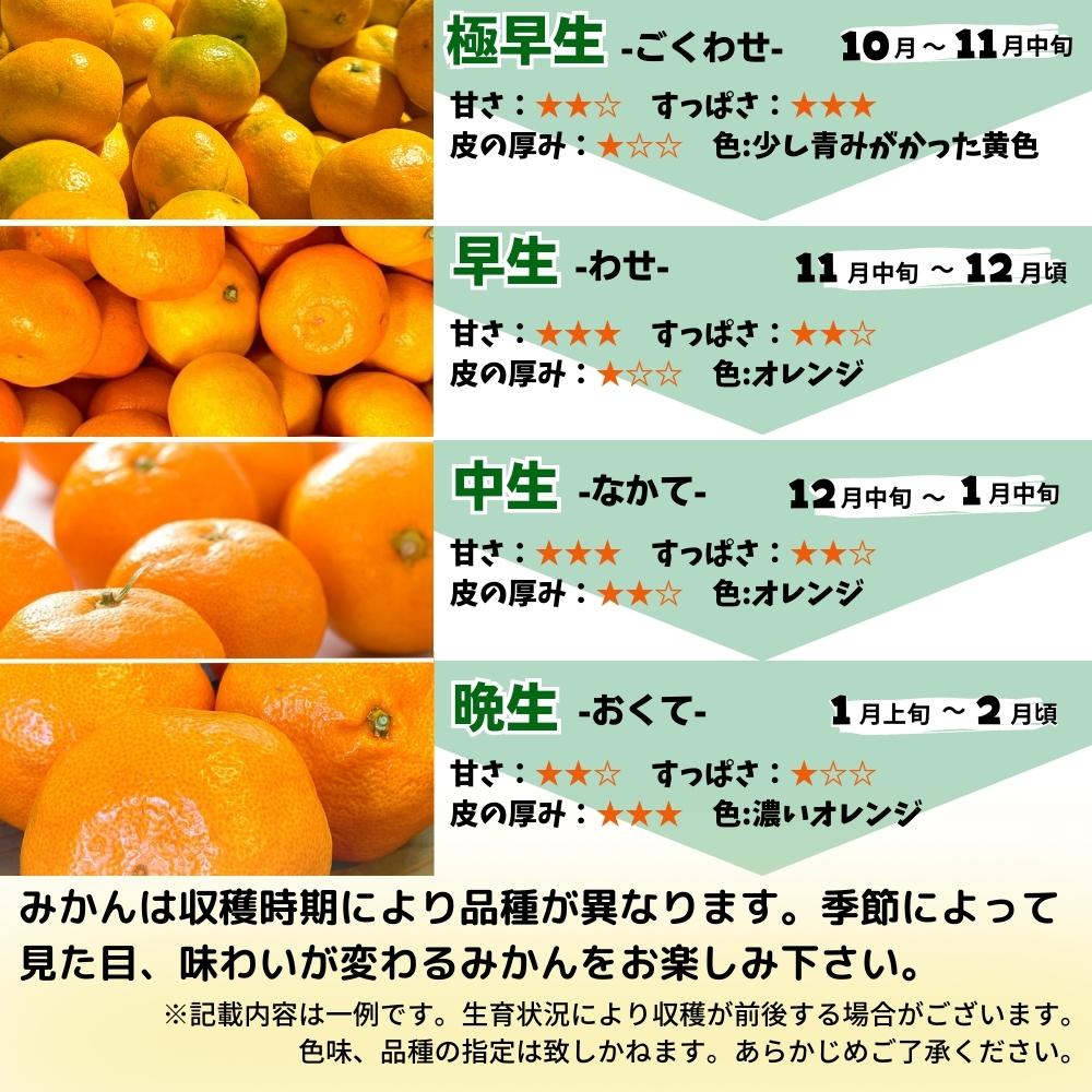 MK1004_みかん Ｍサイズ 秀品 箱込 10kg ( 内容量 9.2kg ) 有田みかん みかん 濃厚 甘み 濃縮 温暖 好条件 和歌山県産 産地直送 贈答用 贈り物 ギフト のし対応 フルーツ デザート 和歌山県 湯浅 お取り寄せ お取り寄せフルーツ 送料無料 みかんの会