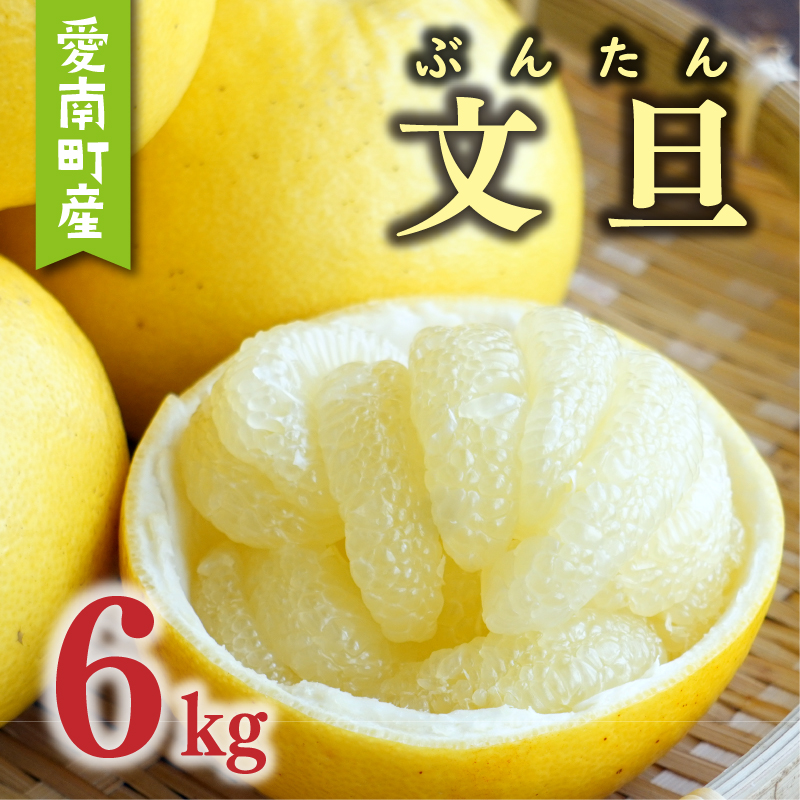 数量限定 先行予約 文旦 6kg 10000円 ぶんたん みかん mikan 蜜柑 ミカン 産地直送 国産 農家直送 期間限定 特産品 ゼリー ジュース アイス 等に 人気 限定 甘い 果実 果肉 フルーツ 果物 柑橘 おいしい 美味しい ジューシー サイズ ミックス あいなんマザーズ 愛南町 愛媛県