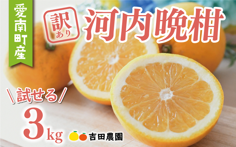 【愛媛県愛南町】数量限定 先行予約 訳あり 河内晩柑 3kg 5000円 お試し用 みかん わけあり かわちばんかん 愛南ゴールド あいなん ゴールド 夏 文旦 グレープフルーツ 和製 家庭用 少量 お試し 産地直送 国産 農家直送 期間限定 数量限定 ビタミン 健康 おいしい 特産品 ゼリ