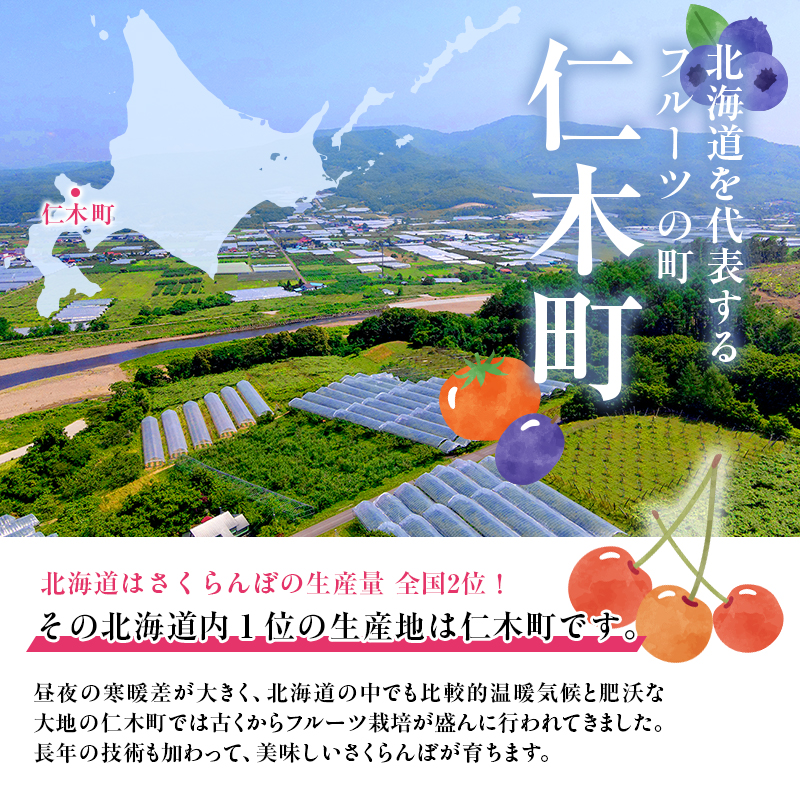 北海道仁木町のふるさと納税 [先行受付] さくらんぼ  佐藤錦 さくらんぼ Lサイズ以上 300g（300g×1パック） 化粧箱入  サクランボ チェリー フルーツ 果物 果物類 ギフト 贈答品 北海道 仁木町 仁木 [小林信幸]