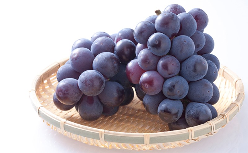 桃 ぶどう 【2026年 先行予約】 よくばり 果物 セット 岡山 白桃 2玉 合計600g以上 シャインマスカット 2房 合計1.2kg以上 ニュー ピオーネ 2房 合計1kg以上 岡山県産 国産 フルーツ 果物 ギフト