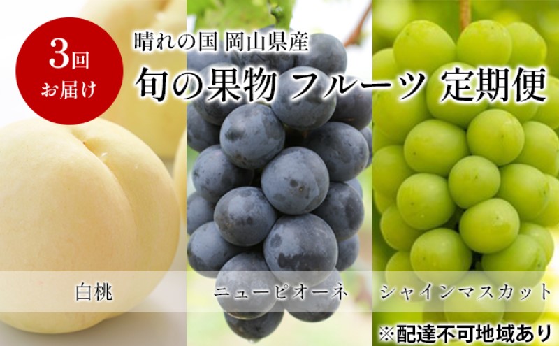 岡山県産白桃 晴れ未来 ロイヤル 14個入り 岡山県産白桃 晴れ未来 ロイヤル 14個入り