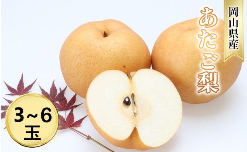 yRszȂy2026N s\z   (3`6) RY Y t[c ʕ Mtg