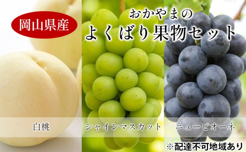 【岡山県高梁市】桃 ぶどう 【2026年 先行予約】 よくばり 果物 セット 岡山 白桃 2玉 合計600g以上 シャインマスカット 2房 合計1.2kg以上 ニュー ピオーネ 2房 合計1kg以上 岡山県産 国産 フルーツ 果物 ギフト