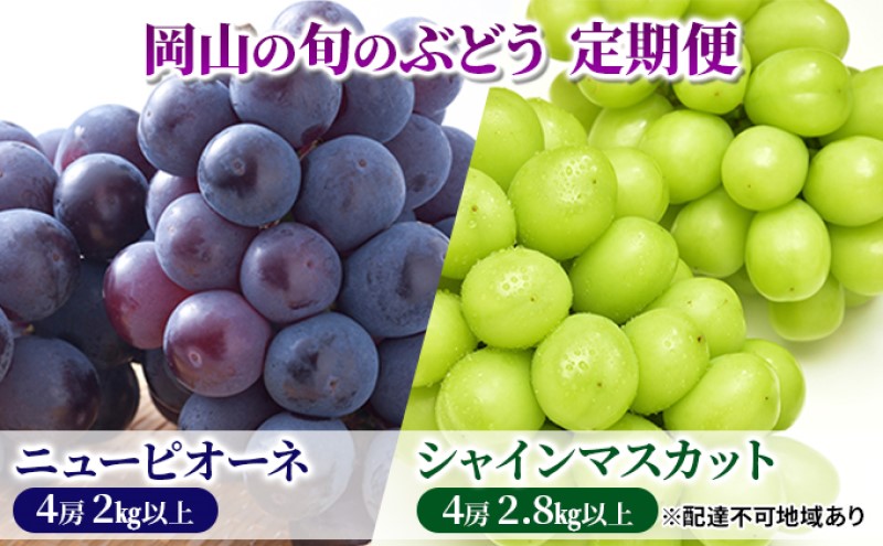 【岡山県玉野市】フルーツ 定期便 【2026年 先行予約】 ニュー ピオーネ 4房2kg以上 シャインマスカット 4房2.8kg以上 岡山県産 国産 セット ギフト