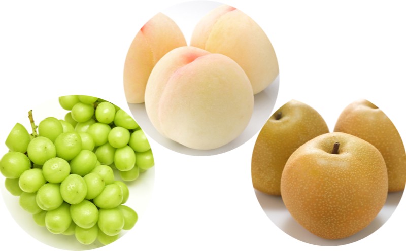 フルーツ 定期便 【2026年 先行予約】 桃 ぶどう 梨 3回お届け 白桃 約2kg入り（5玉～7玉） シャインマスカット 4房2.8kg以上 あたご梨  (3～6玉)  岡山県産 国産 セット ギフト