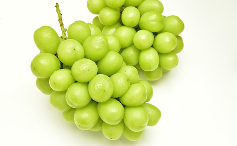 フルーツ 定期便 【2026年 先行予約】 桃 ぶどう 梨 3回お届け 白桃 約2kg入り（5玉～7玉） シャインマスカット 4房2.8kg以上 あたご梨  (3～6玉)  岡山県産 国産 セット ギフト