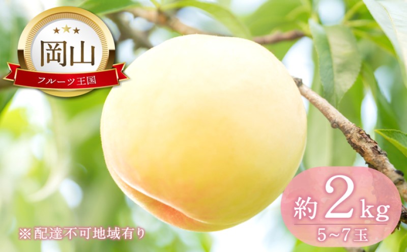 【岡山県瀬戸内市】桃 【2026年 先行予約】 晴れの国 おかやま の 白桃 2kg(5玉〜7玉) もも モモ 岡山県産 国産 フルーツ 果物 ギフト