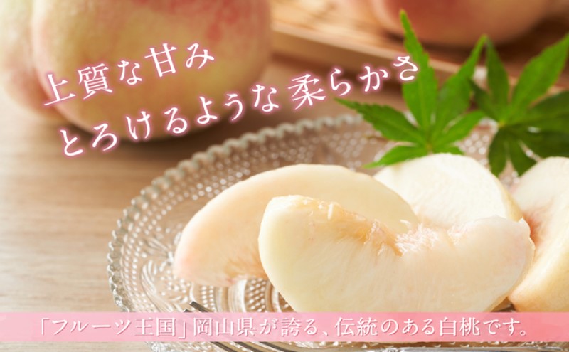 桃 【2026年 先行予約】 晴れの国 おかやま の 白桃 2kg(5玉～7玉) もも モモ 岡山県産 国産 フルーツ 果物 ギフト