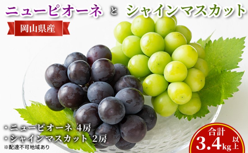 【岡山県瀬戸内市】ぶどう 【2026年 先行予約】 ニュー ピオーネ 4房と シャインマスカット 2房(合計3.4kg以上) マスカット ブドウ 葡萄 岡山県産 国産 フルーツ 果物 ギフト