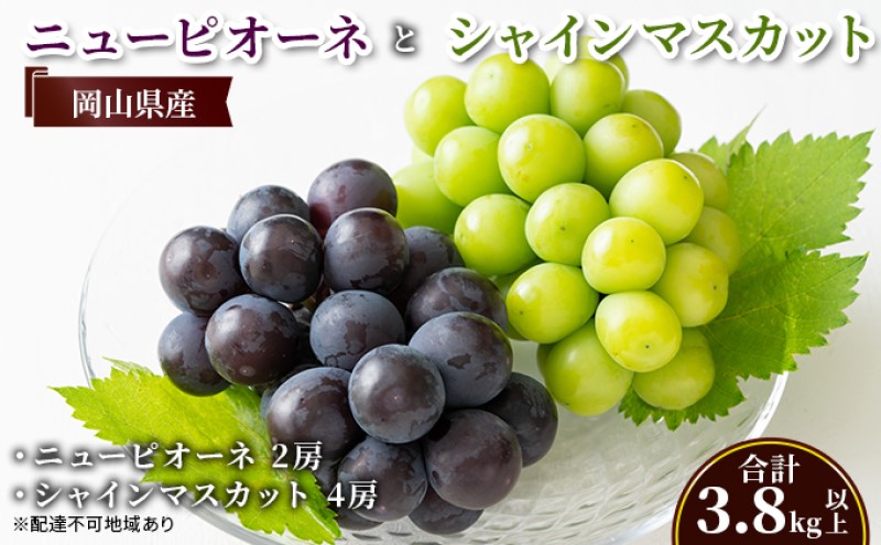 【岡山県瀬戸内市】ぶどう 【2026年 先行予約】 ニュー ピオーネ 2房と シャインマスカット 4房(合計3.8kg以上) マスカット ブドウ 葡萄 岡山県産 国産 フルーツ 果物 ギフト