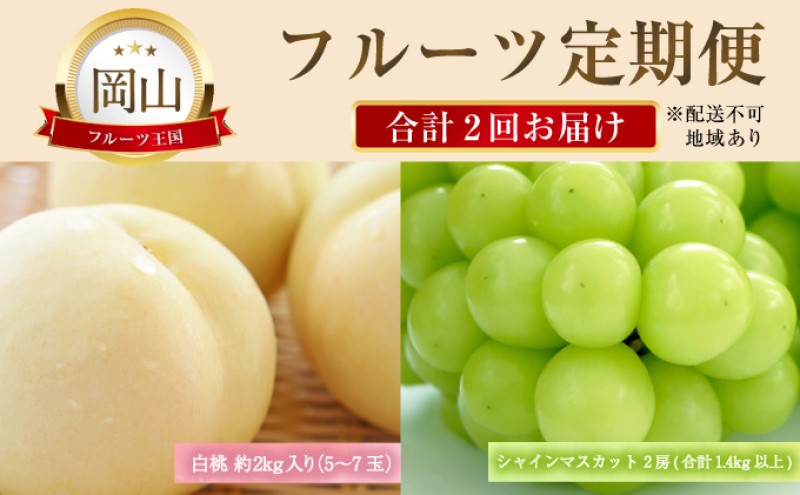 【岡山県瀬戸内市】フルーツ 定期便 【2026年 先行予約】 晴れの国 おかやま の 白桃 2kg(5玉〜7玉) シャインマスカット 2房 合計1.4kg以上 岡山県産 国産 セット ギフト