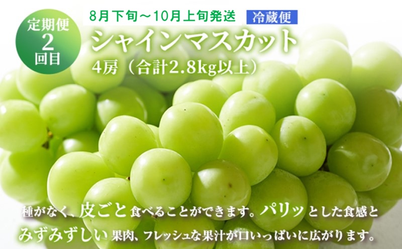 フルーツ 定期便 【2026年 先行予約】 晴れの国 おかやま の 白桃 2kg(5玉～7玉) シャインマスカット 4房(合計2.8kg以上) 岡山県産 国産 セット ギフト