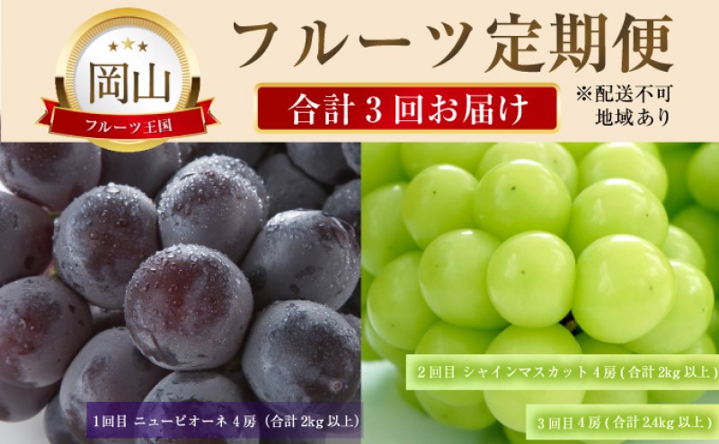 【岡山県瀬戸内市】ぶどう 【2026年 先行予約】 晴れの国 おかやま の フルーツ 定期便  葡萄 ニュー ピオーネ シャインマスカット 岡山県産 国産 セット ギフト