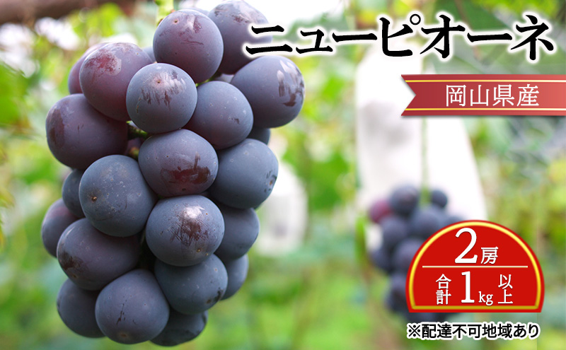 【岡山県瀬戸内市】ぶどう 【2026年 先行予約】 ニュー ピオーネ 2房 合計1kg以上 ブドウ 葡萄 岡山県産 国産 フルーツ 果物 ギフト