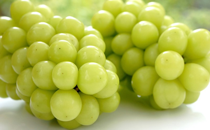 ぶどう 【2026年 先行予約】 シャインマスカット 2房(合計1.4kg以上) マスカット ブドウ 葡萄 岡山県産 国産 フルーツ 果物 ギフト