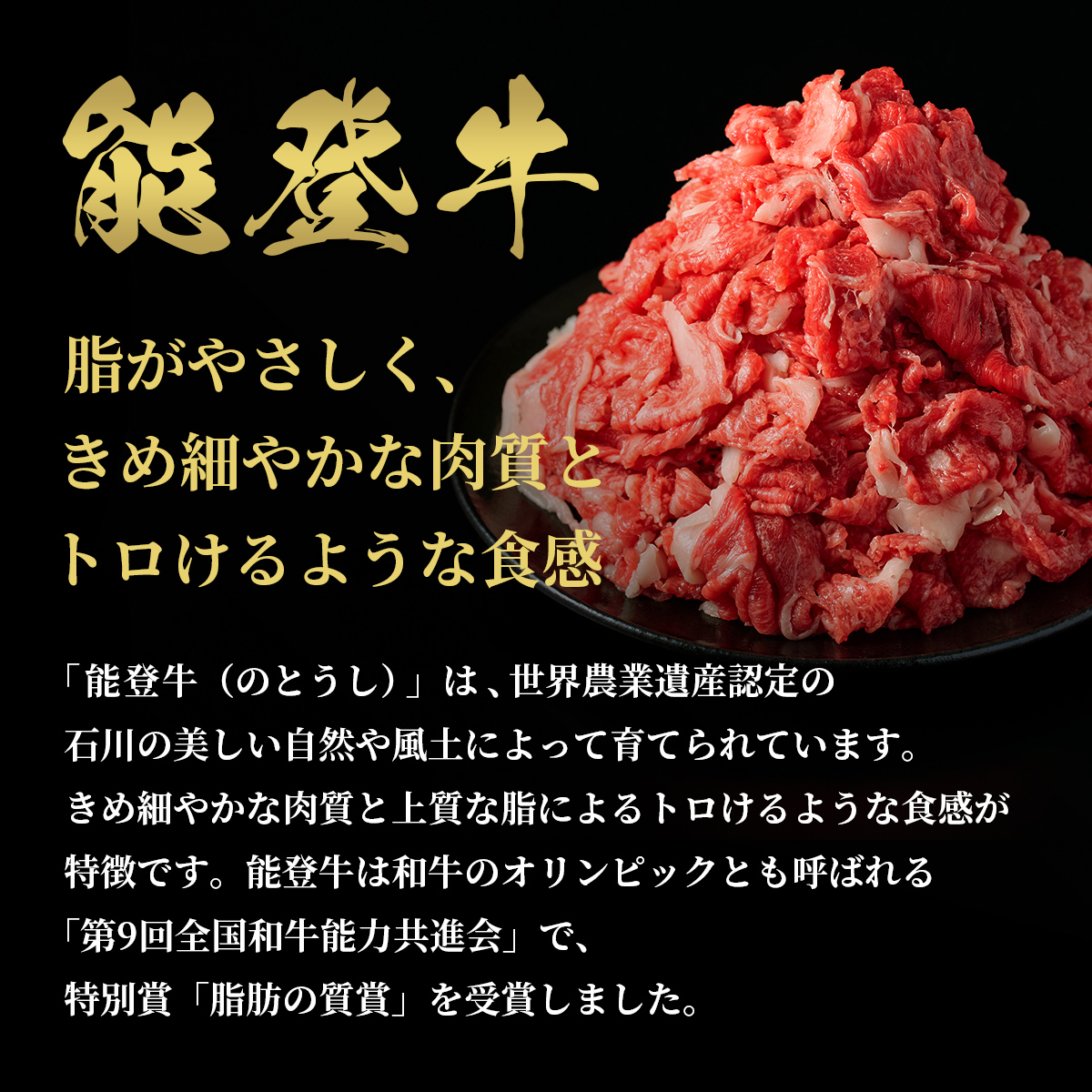 肉【和牛セレブ】能登牛 切り落とし 500g（200g+300g） 黒毛和牛 霜降り ギフト 石川県 能美市
