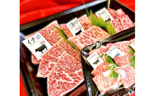 【定期便】２か月に１回　特撰近江牛定期便　焼肉３種食べ比べセット全6回【FO45W】